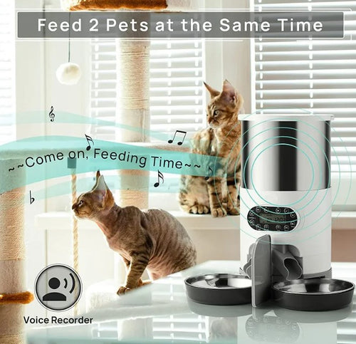 Pet-Ete Buffet